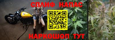 твердый Ставрополь