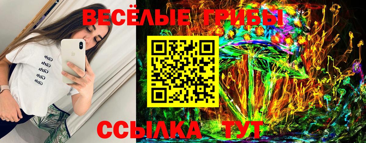 Новотроицк  Галлюциногенные грибы Psilocybe  Вход с VPN 